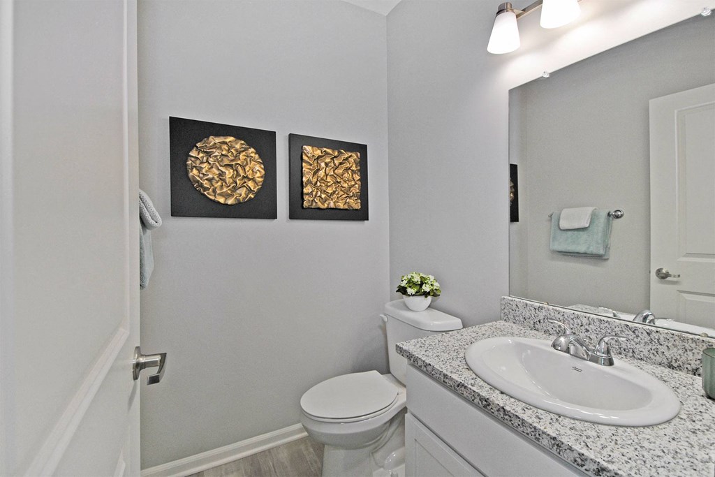 a bathroom with a sink and a toilet and a mirror