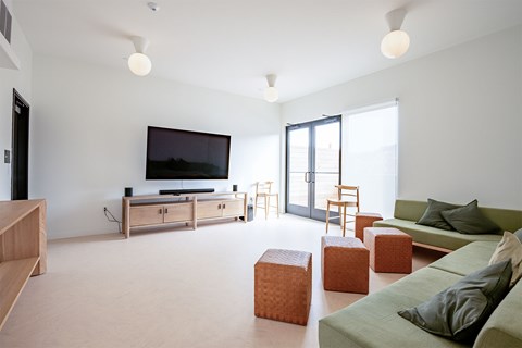A living room with a green couch and a television.