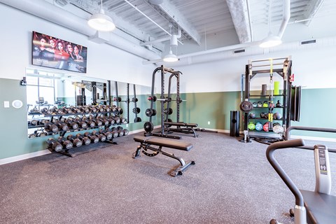 A gym with a variety of equipment including dumbbells, weight plates, and a bench press.
