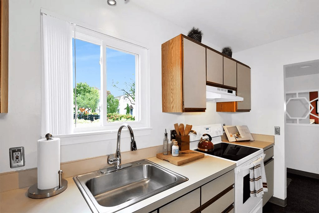 apartment kitchen sink and cabinets