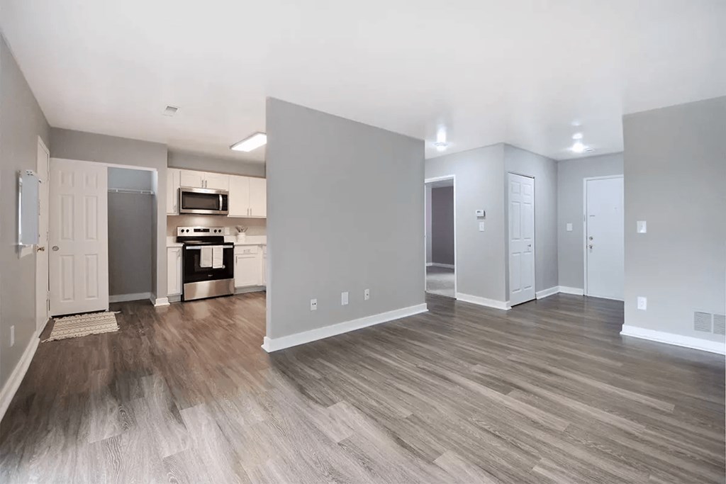 apartment living room and kitchen