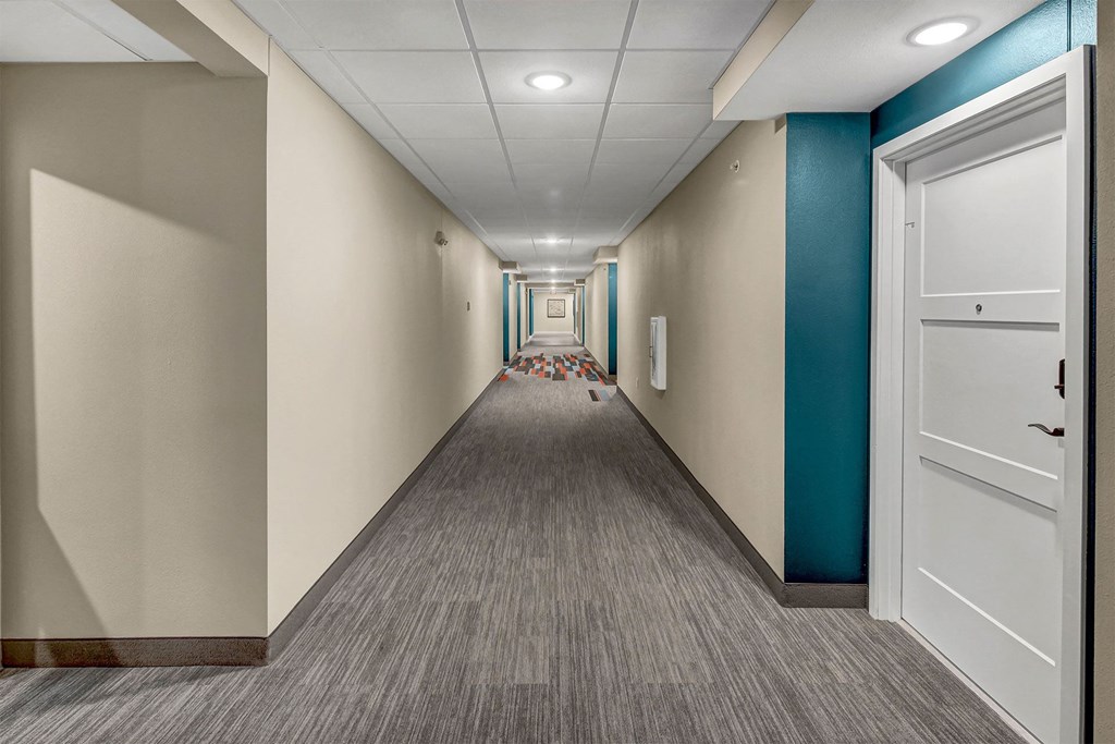 a hallway with white walls and blue and white doors and a rug on the floor