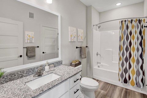 a bathroom with a sink and a shower and a toilet