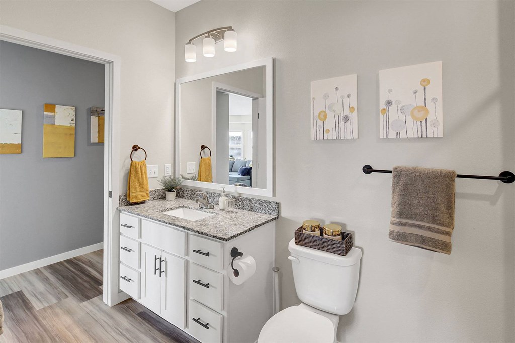 a bathroom with a toilet and a sink and a mirror
