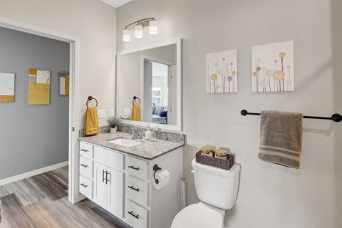 a bathroom with a toilet and a sink and a mirror