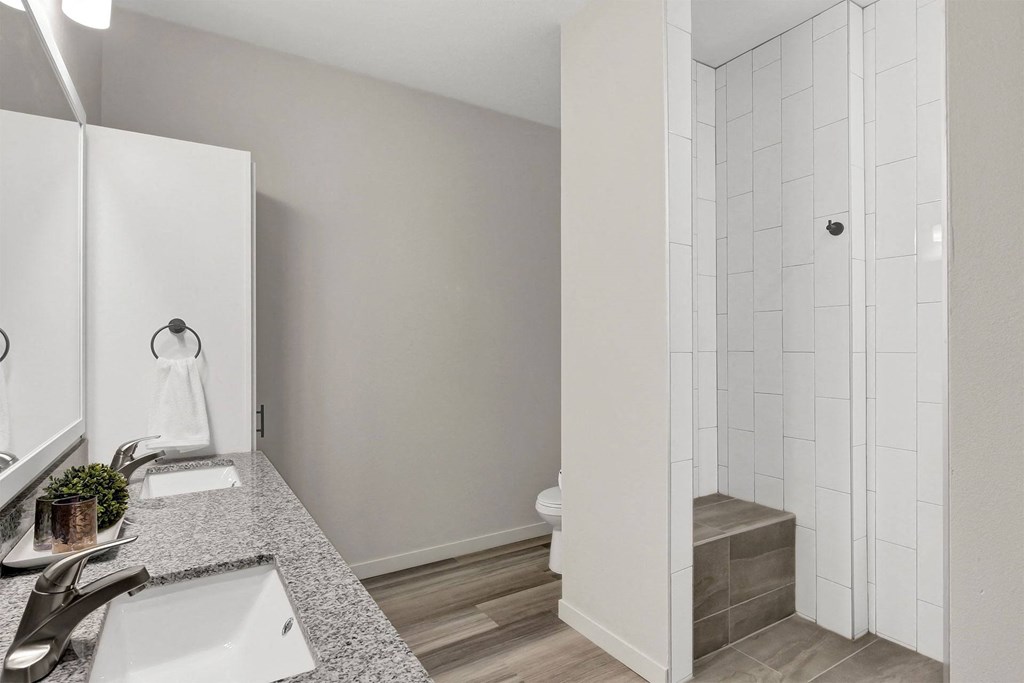 a bathroom with a sink and a toilet and a shower