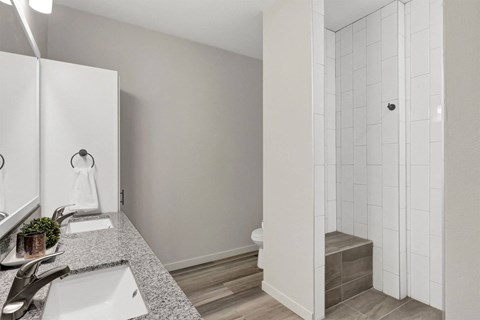 a bathroom with a sink and a toilet and a shower