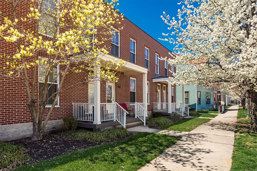 A row of houses with a tree in bloom in front of them.