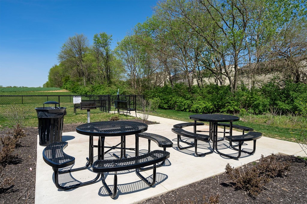 A picnic area with tables and chairs is set up in a park.