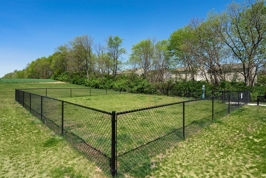 A black fence surrounds a green field.