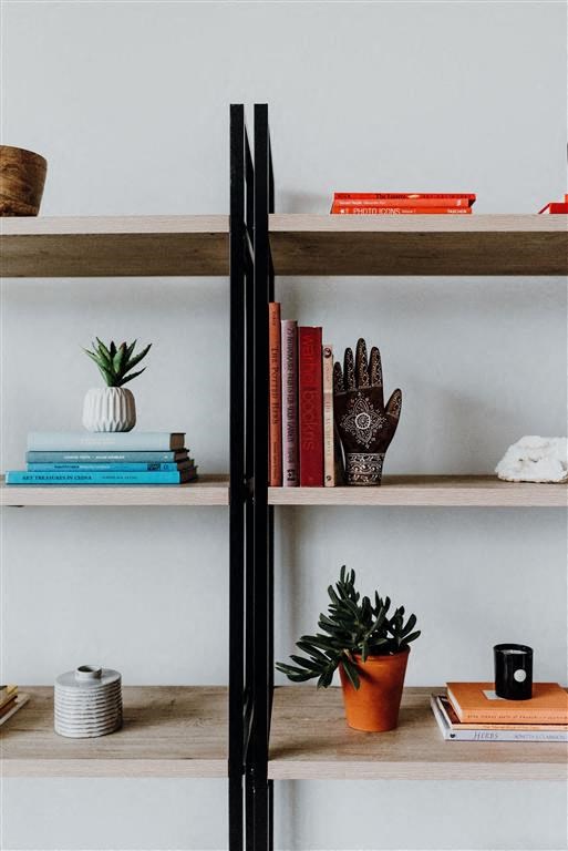 a bookshelf with books and plants on it