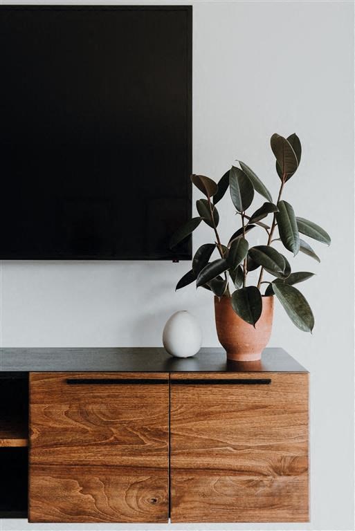 a potted plant sitting on top of a wooden dresser