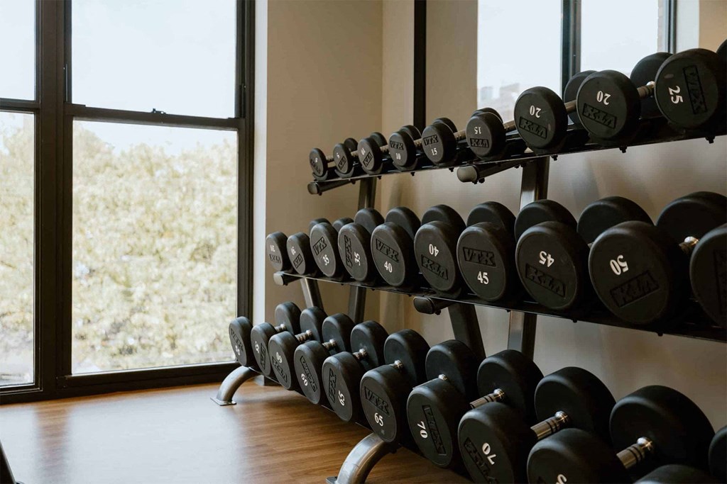 a rack of weights in a gym with a window