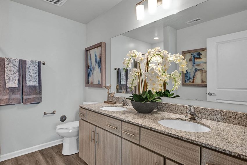 Orland Ridge Towns And Villas Apartments, 16966 Pond Willow Drive