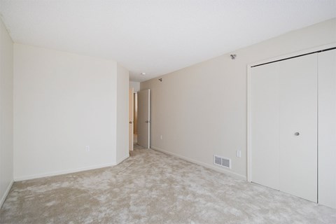 A room with a carpeted floor and two white doors.