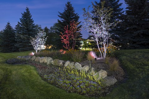 A garden with a stone wall and trees is illuminated by lights.