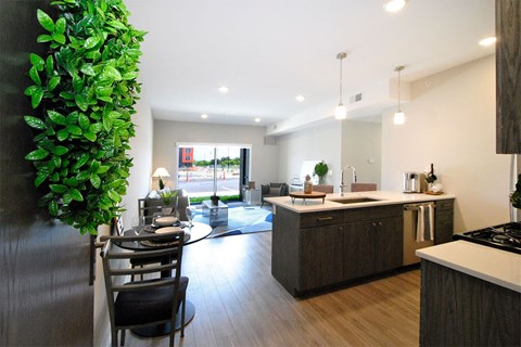 A modern kitchen with a green plant on the wall.