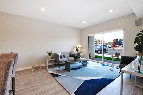 A living room with a grey sofa and a blue rug.