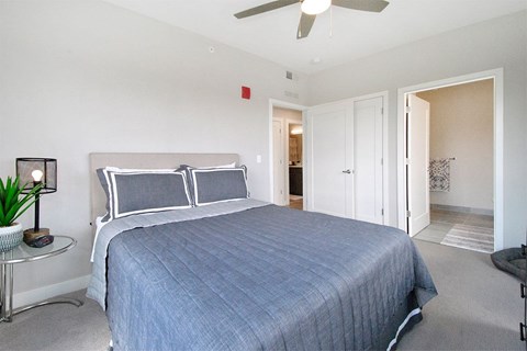 A bedroom with a bed, a ceiling fan, and a small table with a plant on it.