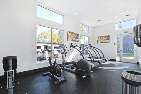 A gym with a row of treadmills and elliptical machines.
