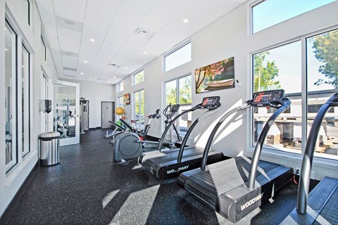 A gym with treadmills and elliptical machines.