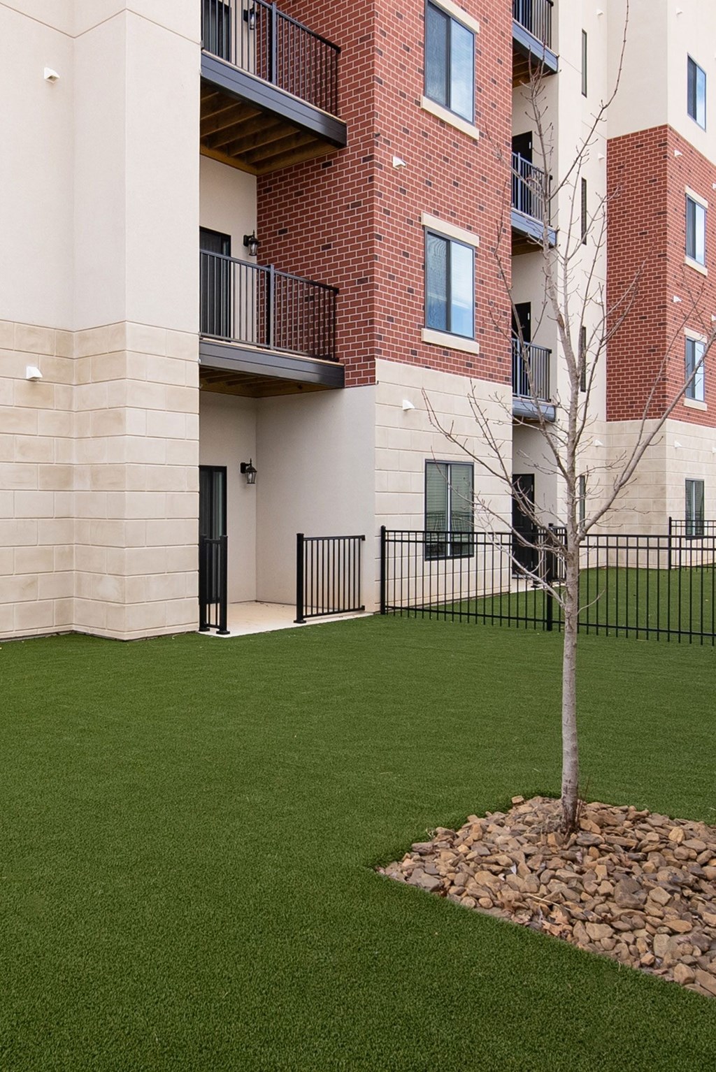 A tree is planted in a small garden in front of a building.