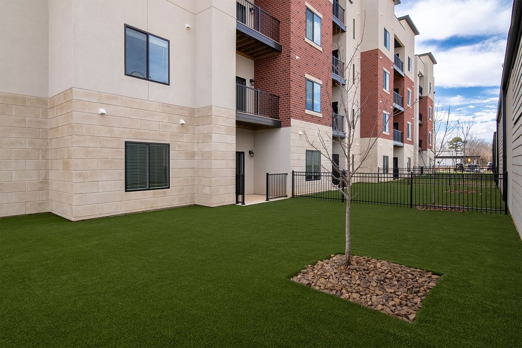 A tree is planted in a bed of stones in a courtyard.