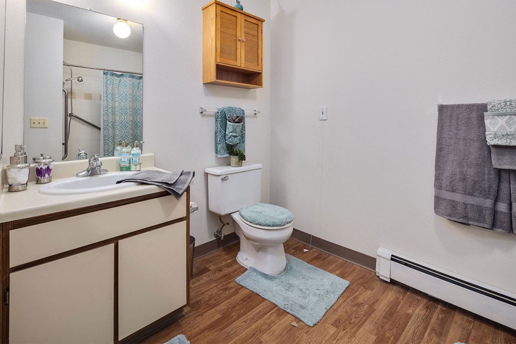 bathroom with toilet and sink