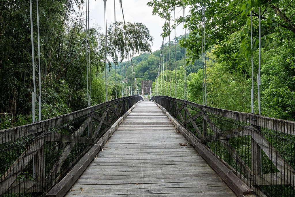 A wooden bridge with metal railings leads through a lush green forest.