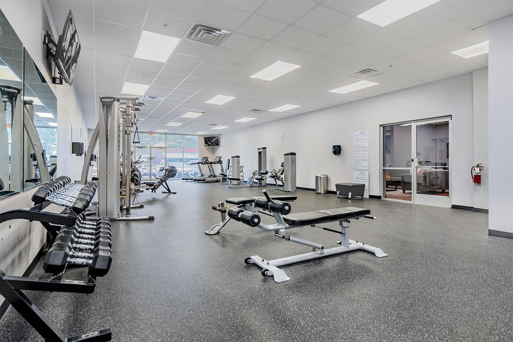 A gym with a variety of equipment including treadmills, weights, and benches.