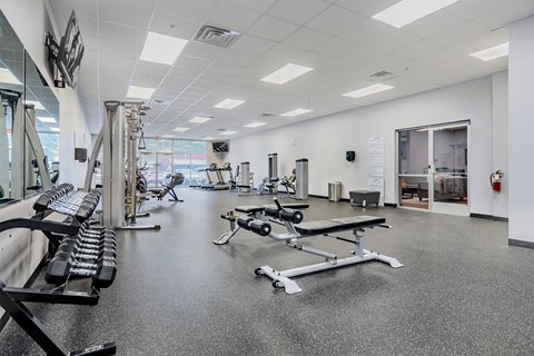 A gym with a variety of equipment including treadmills, weights, and benches.