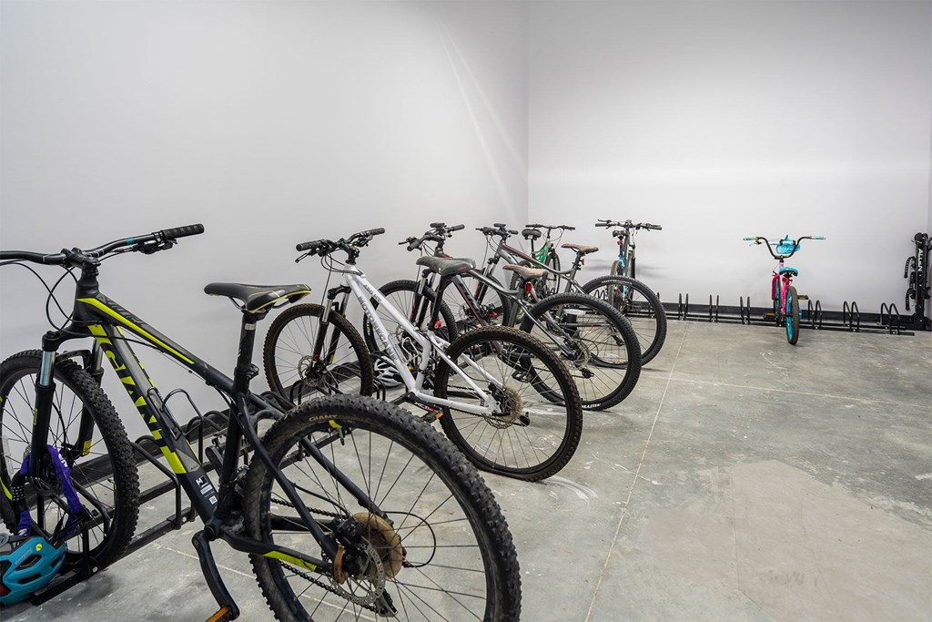 A row of bicycles are lined up in a bike shop.