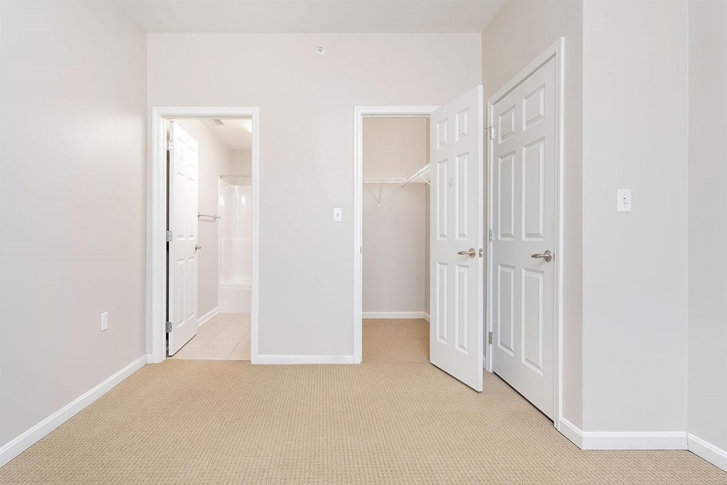 A white room with two doors and a carpeted floor.
