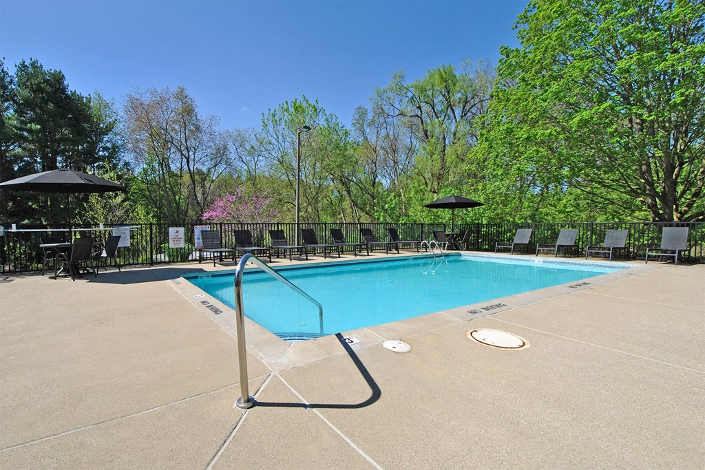 a swimming pool with chairs and umbrellas and trees