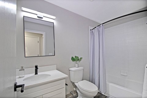 a bathroom with a sink toilet and a mirror