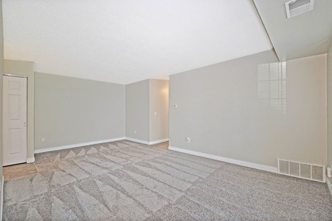an empty living room with carpet and a door to a closet