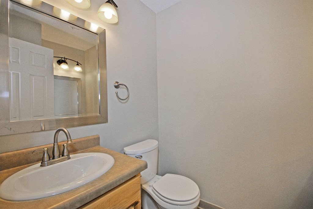 a bathroom with a sink and a toilet and a mirror