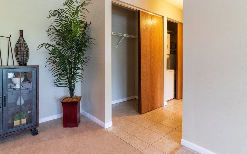 a living room with a plant and a closet