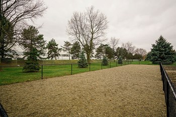 Pine Crossing Apartments Dog Park - Photo Gallery 9