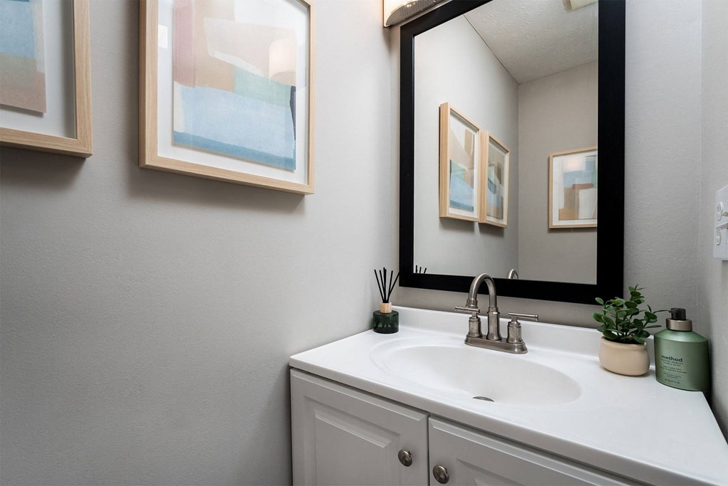 a bathroom with a sink and a mirror