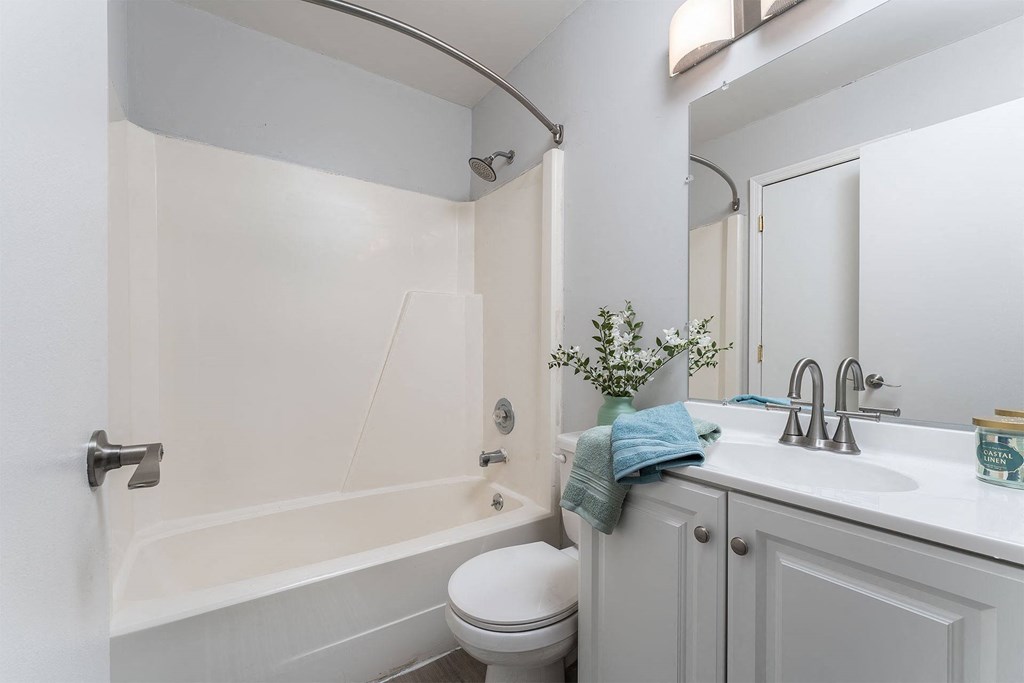 a bathroom with a sink toilet and a bath tub