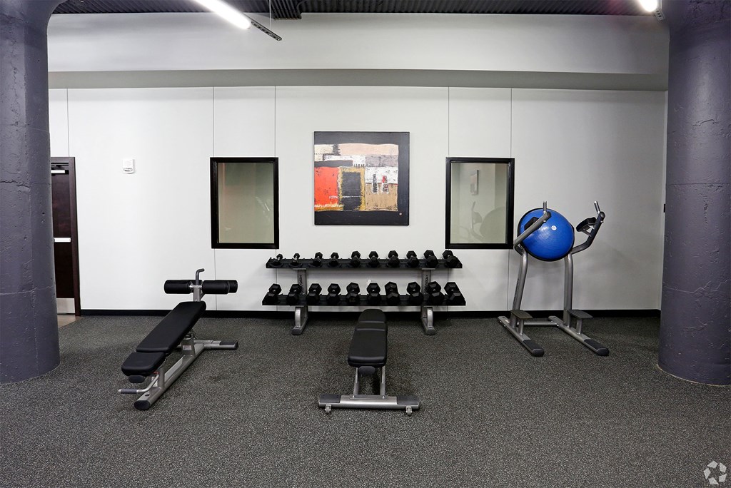 A gym with a bench, weights, and a ball.
