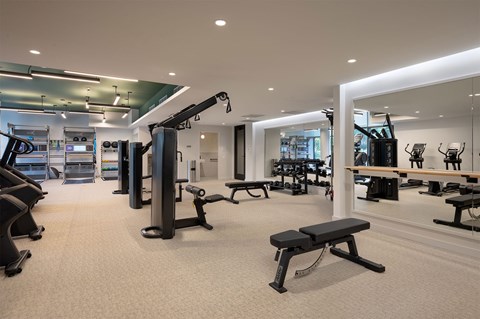 A gym with a variety of equipment including a rowing machine, bench, and weights.