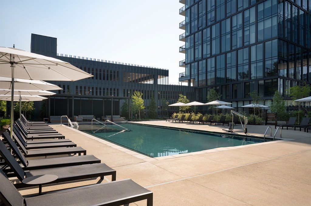 A pool surrounded by sun loungers and umbrellas with a building in the background.