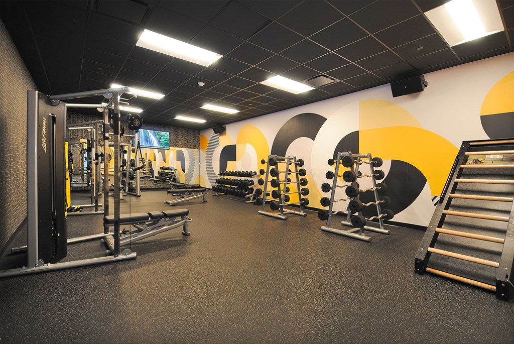 A gym with a variety of equipment including a squat rack, bench press, and a leg press machine.