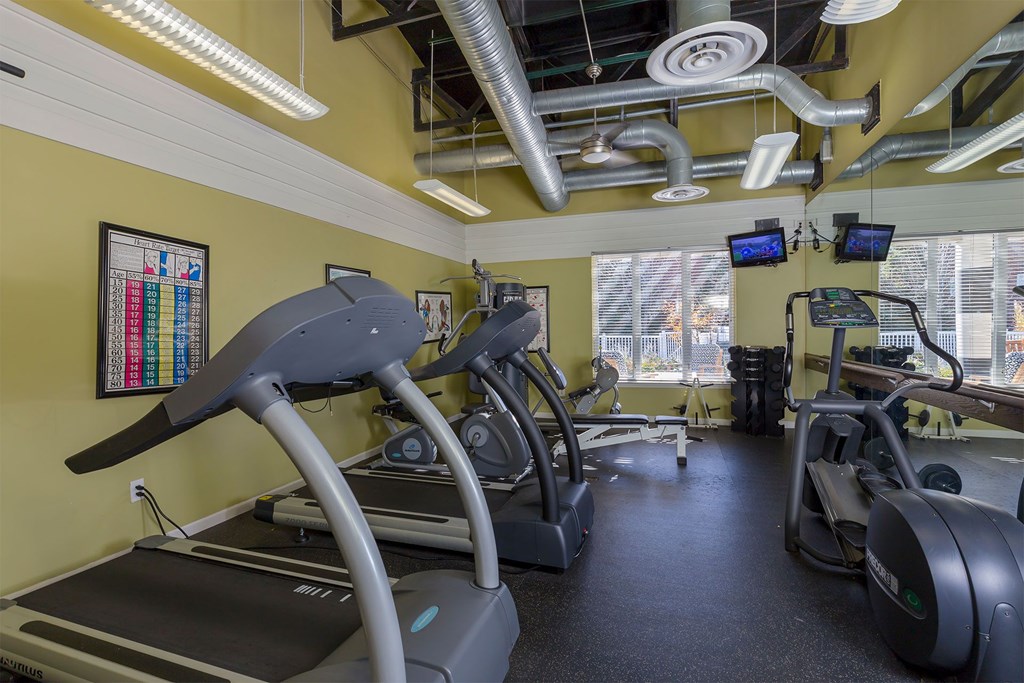 A gym with treadmills and elliptical machines.