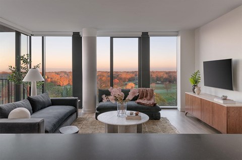 A modern living room with a grey sofa, a white coffee table, and a television on a wooden cabinet.
