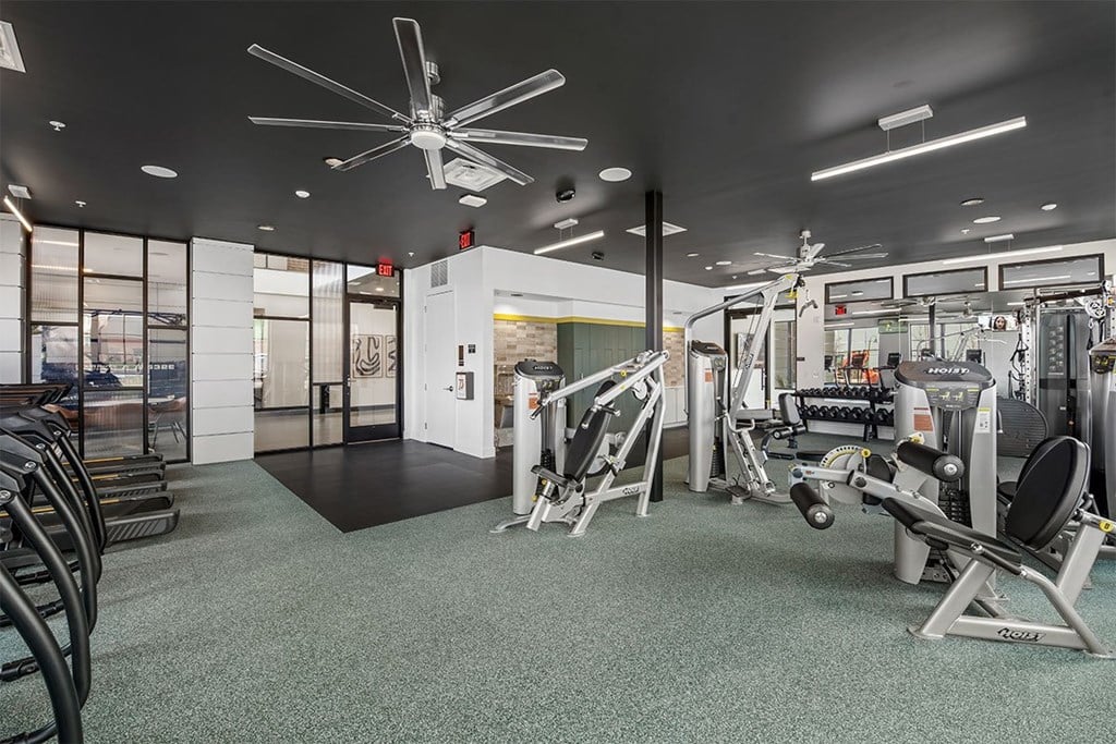 A gym with a variety of equipment including a treadmill, weights, and a bench press.