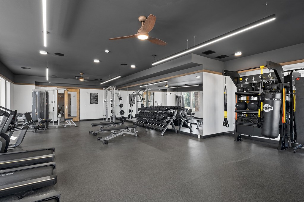 a gym with weights machines and a ceiling fan