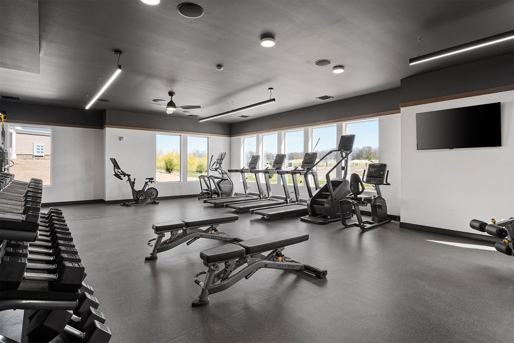 the gym has plenty of treadmills and exercise machines and a television
